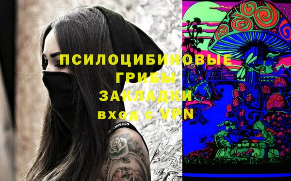 дурь Краснослободск