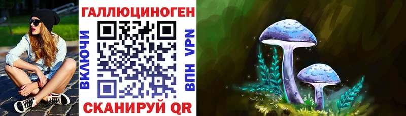Галлюциногенные грибы GOLDEN TEACHER  Купить где  Николаевск 
